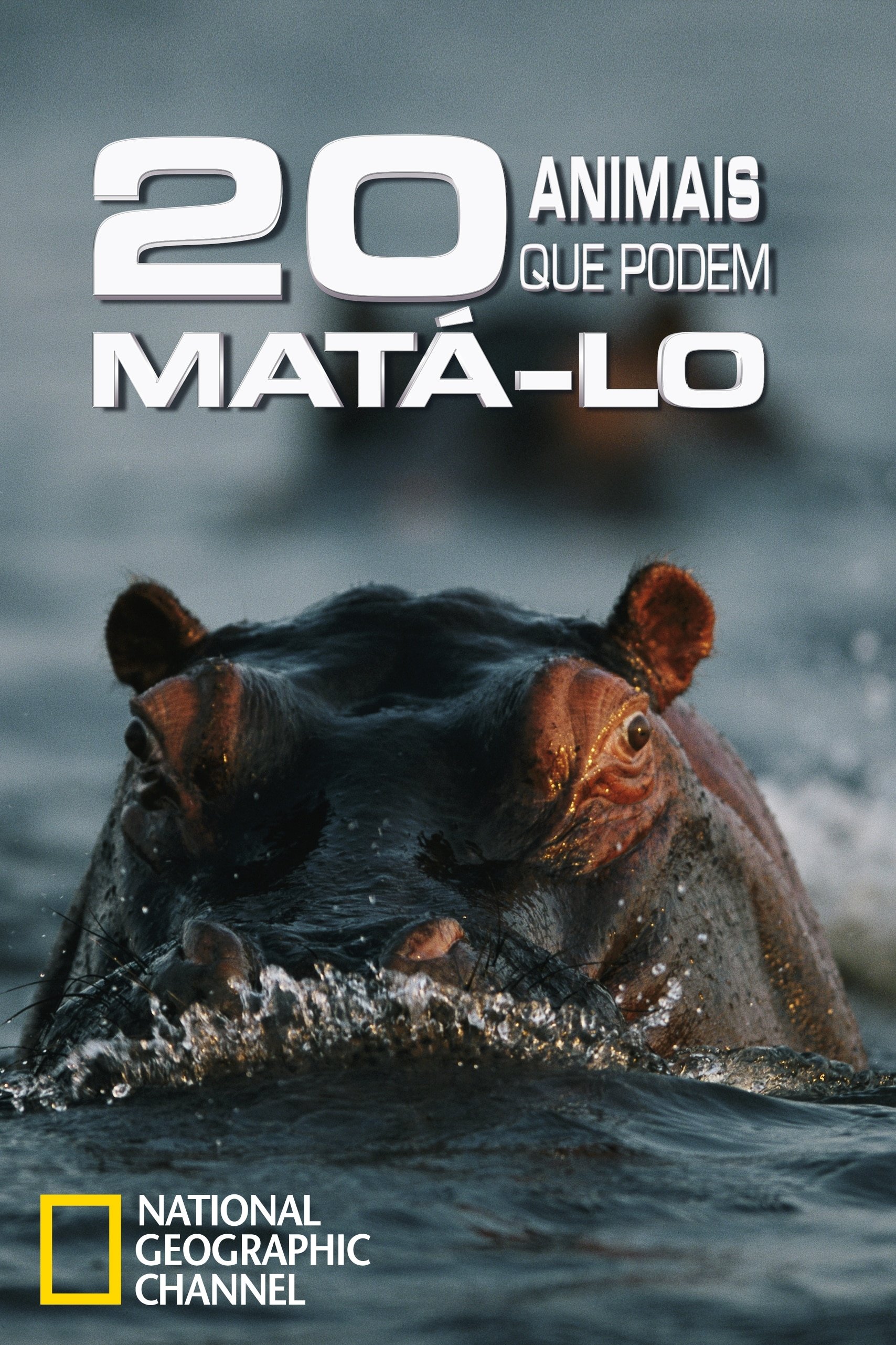 Poster de Os 20 Animais que Podem Matá-lo