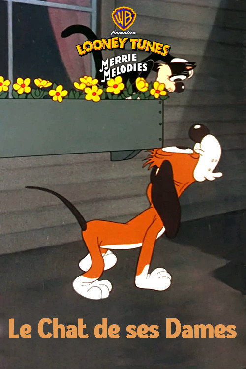 Le chat de ces dames