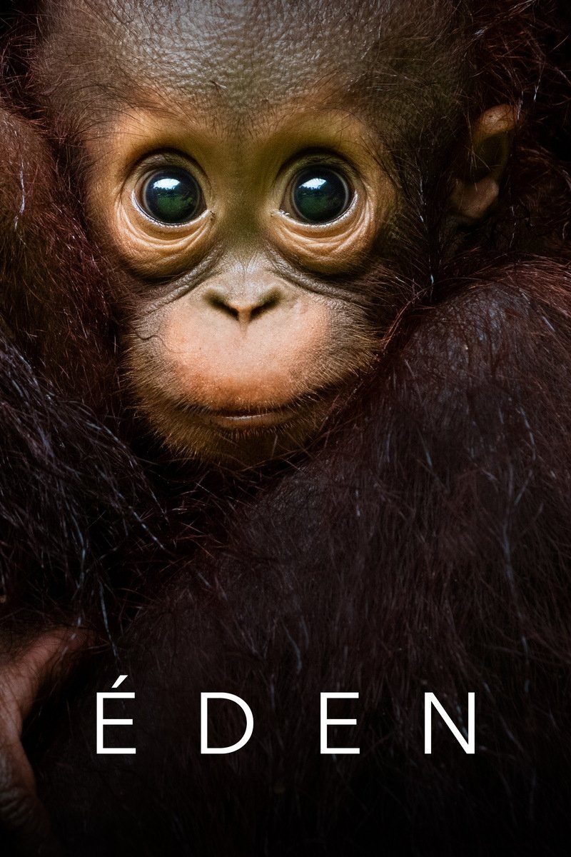 Poster de Éden