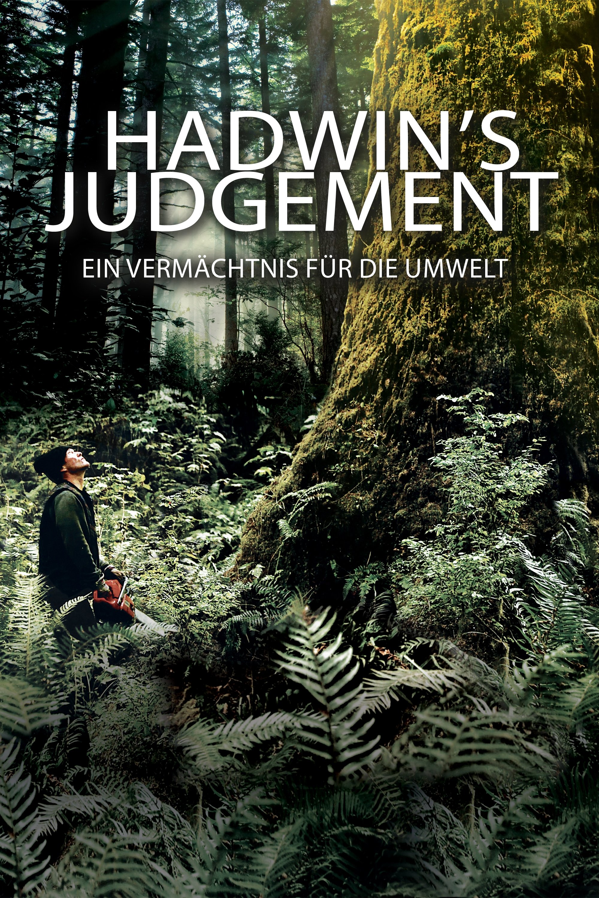 Poster de Hadwin's Judgement
