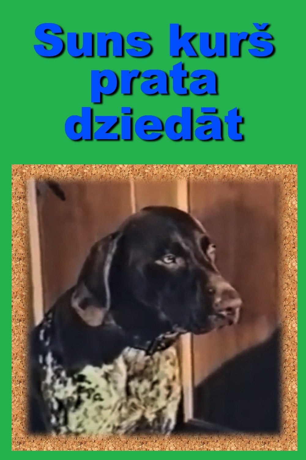 Poster de Suns, kurš prata dziedāt