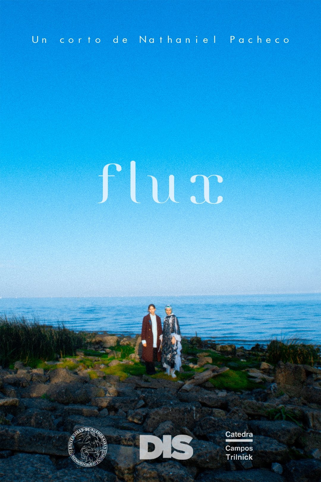 Poster de Flux