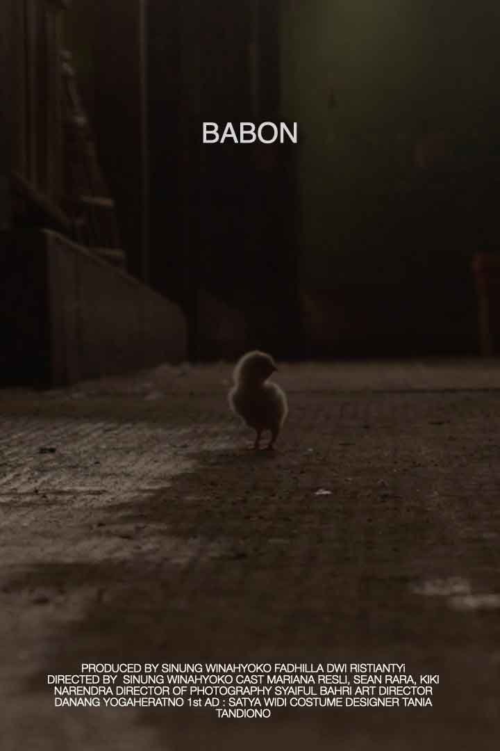 Poster de Babon