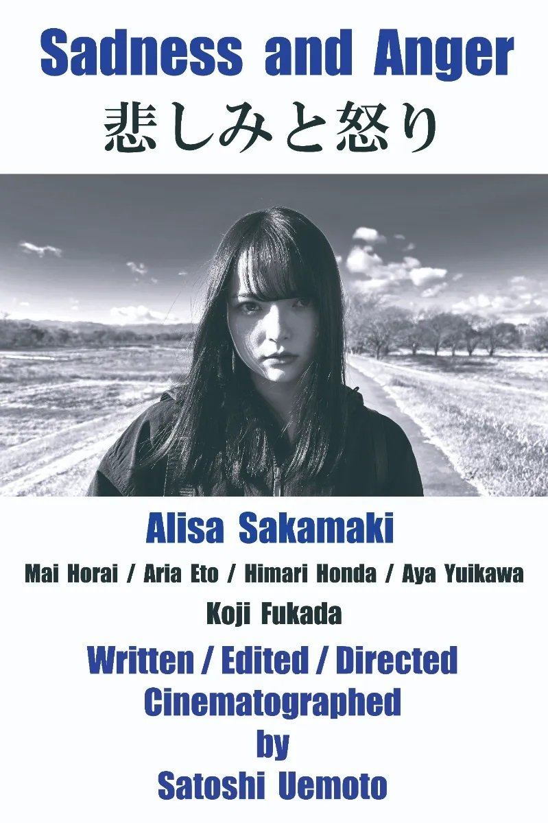 Poster de 悲しみと怒り