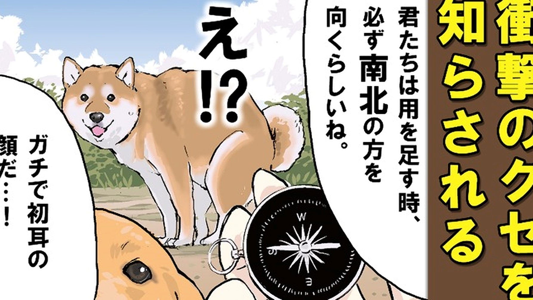 Weight Measurement / Intentional, Unintentional