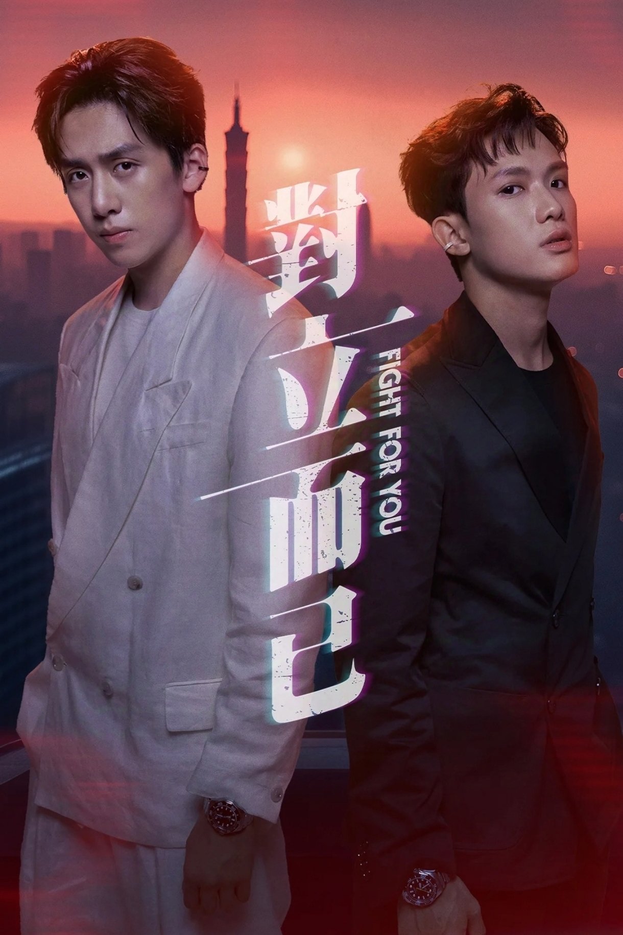 Poster de Fight For You