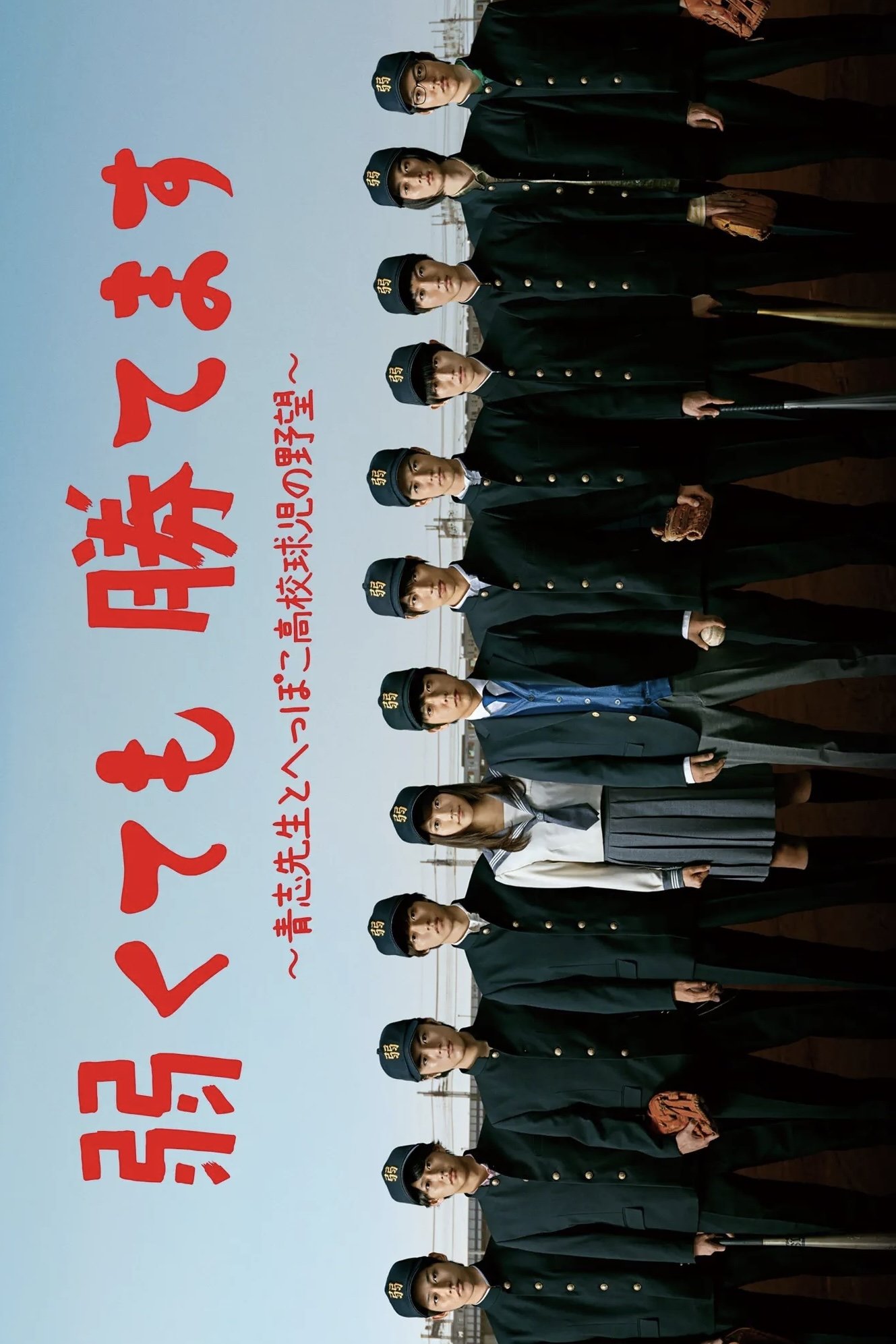 Poster de Baseball Brainiacs