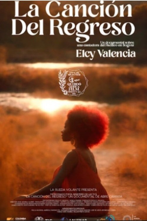 Poster de La canción de regreso