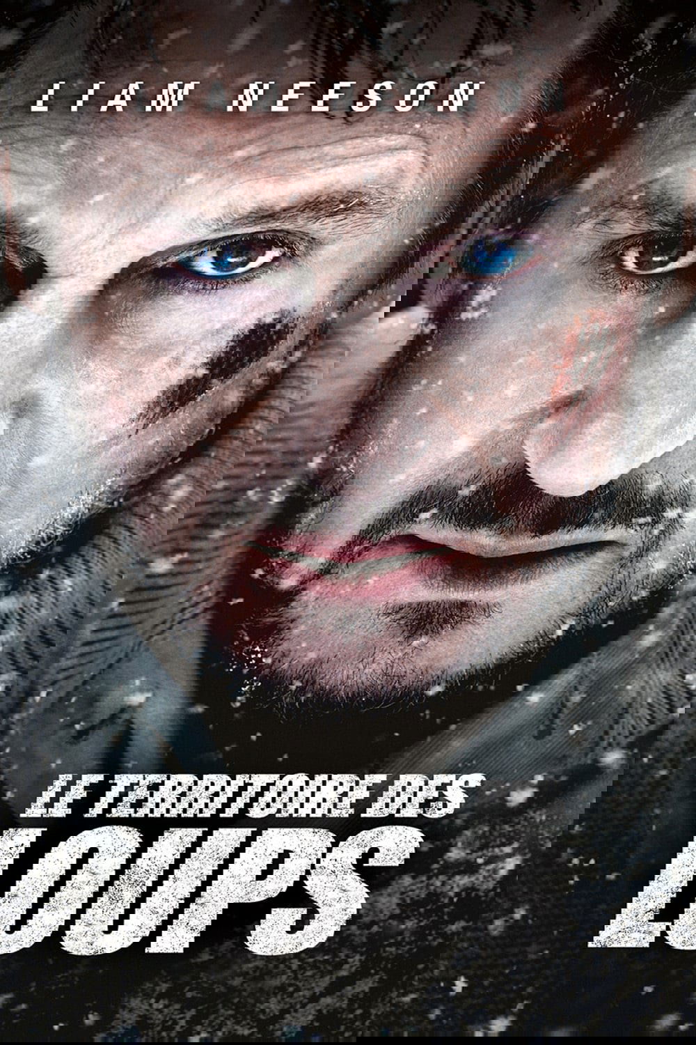 Affiche du film The Grey