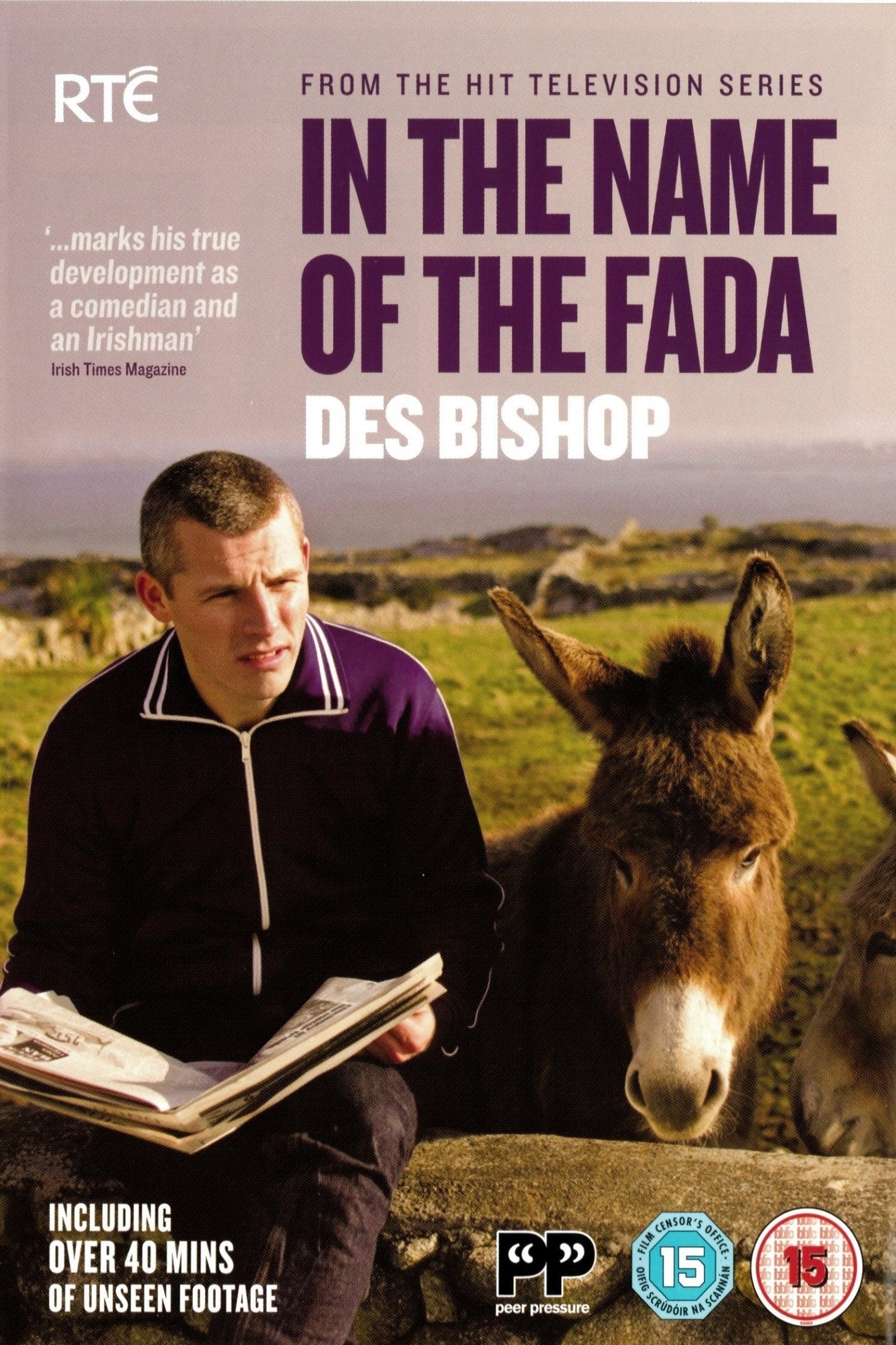 Poster de In the Name of the Fada