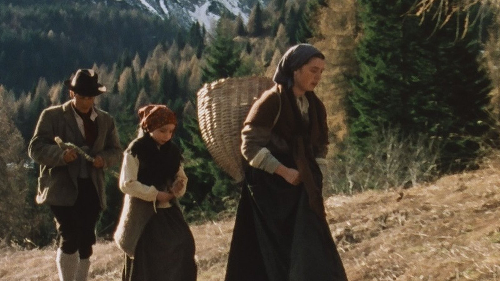 Romana Piolanti