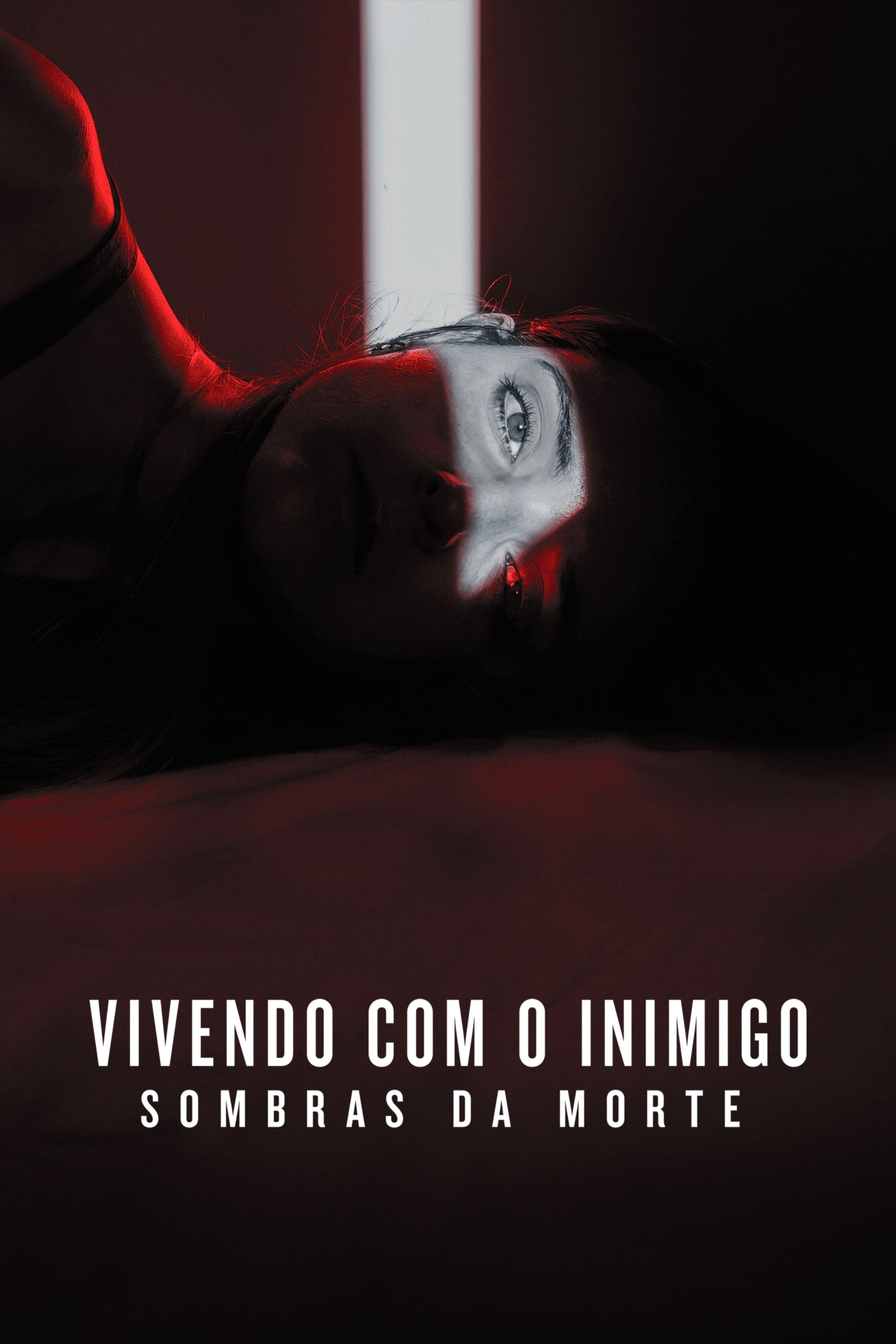 Poster de Temporada 2