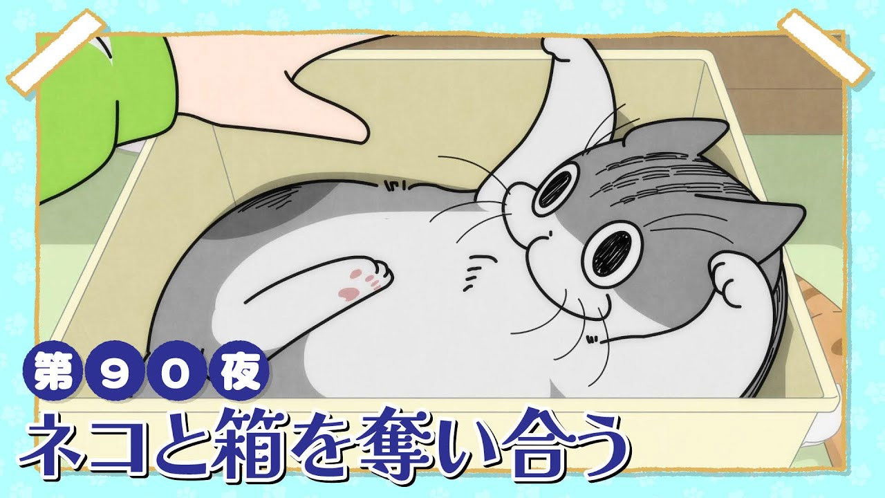 Night 90: Battling a Cat for a Box