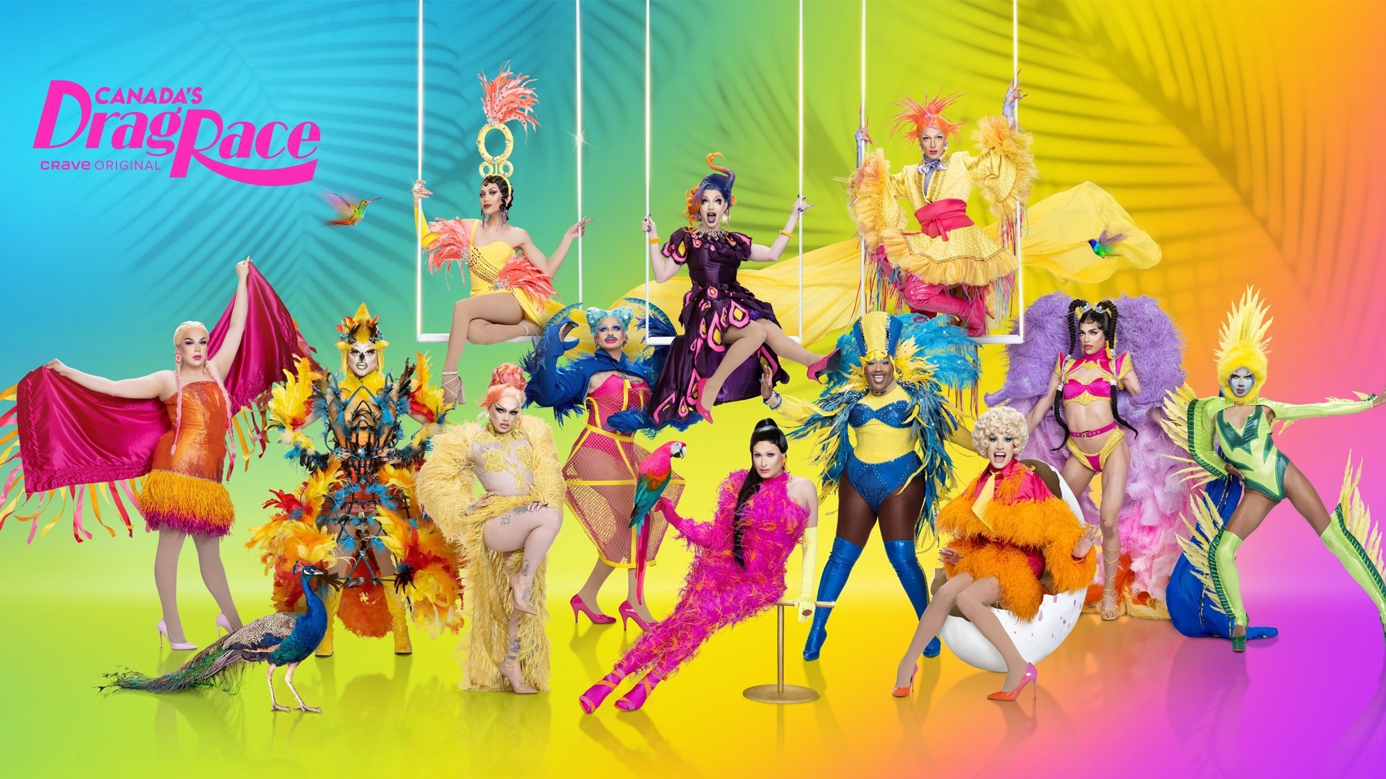 Backdrop image