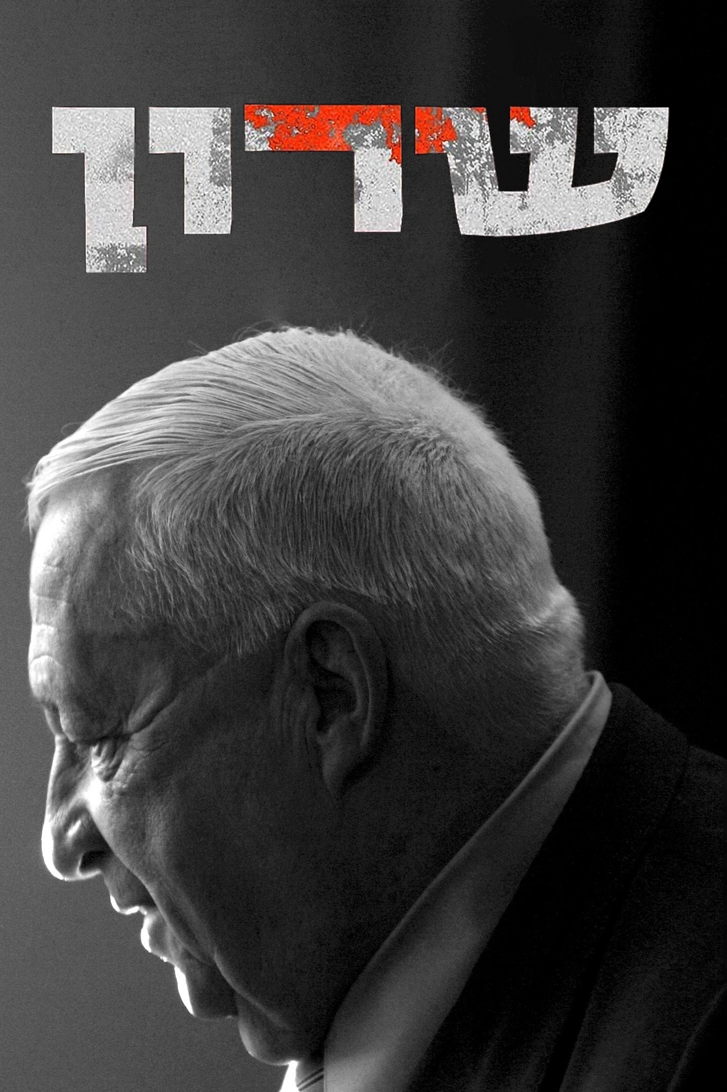 Poster de שרון