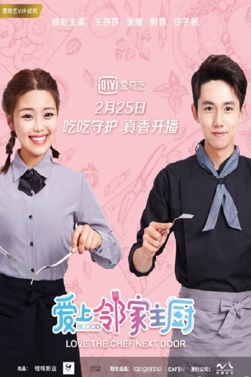 Poster de Love The Chef Next Door