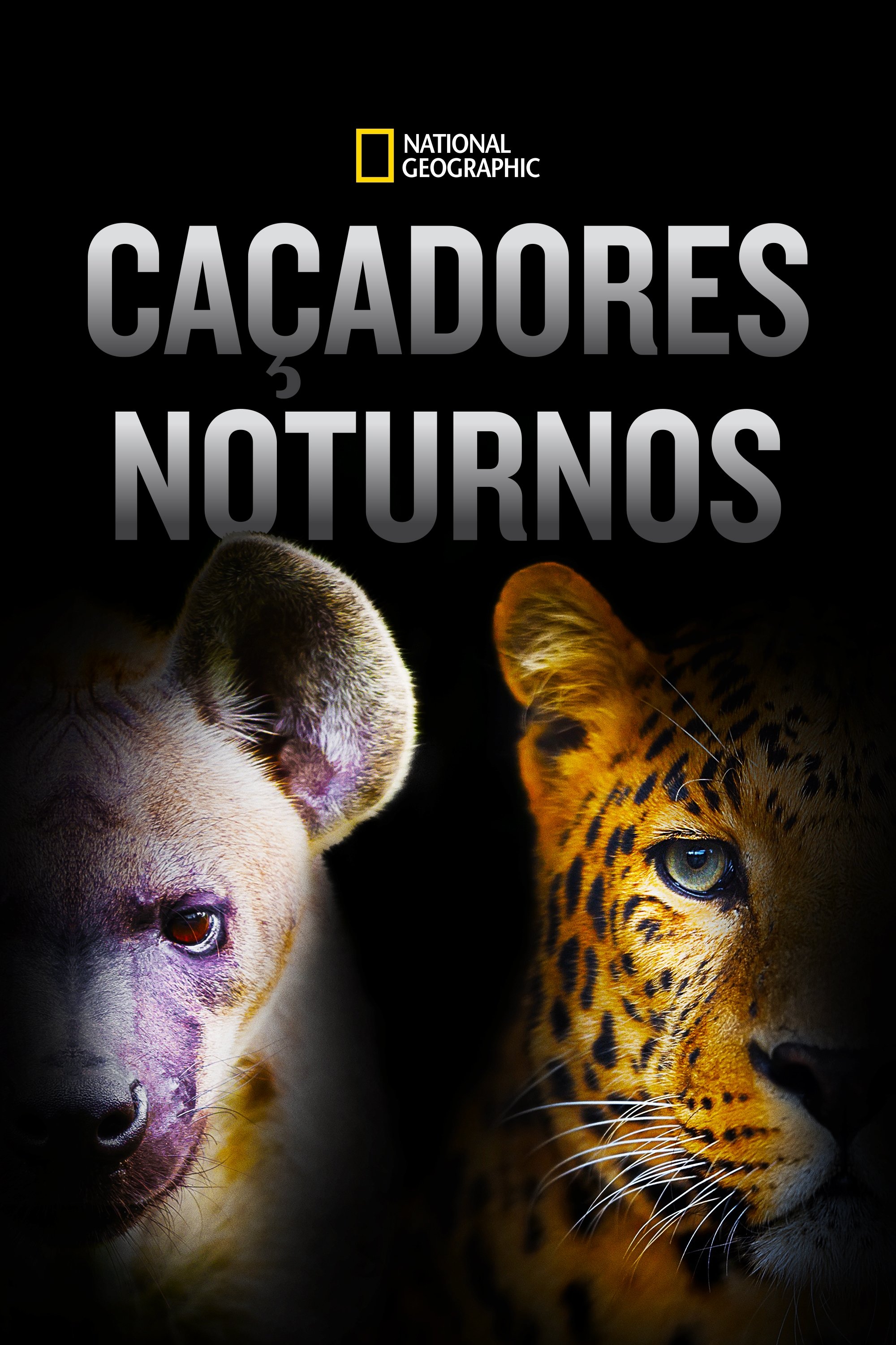 Poster de Caçadores Noturnos