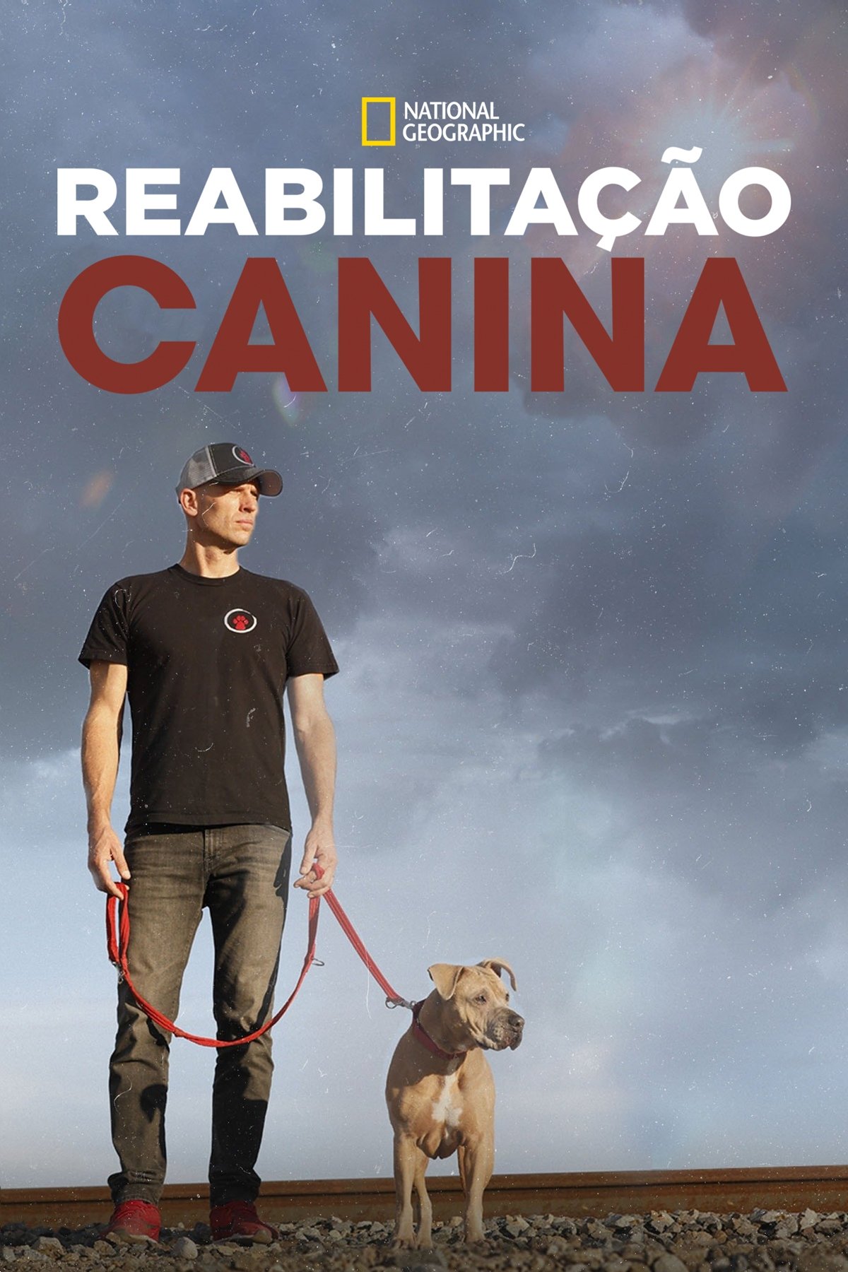 Poster de Reabilitação Canina