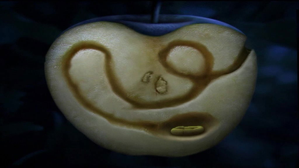 The Apple Of Concord