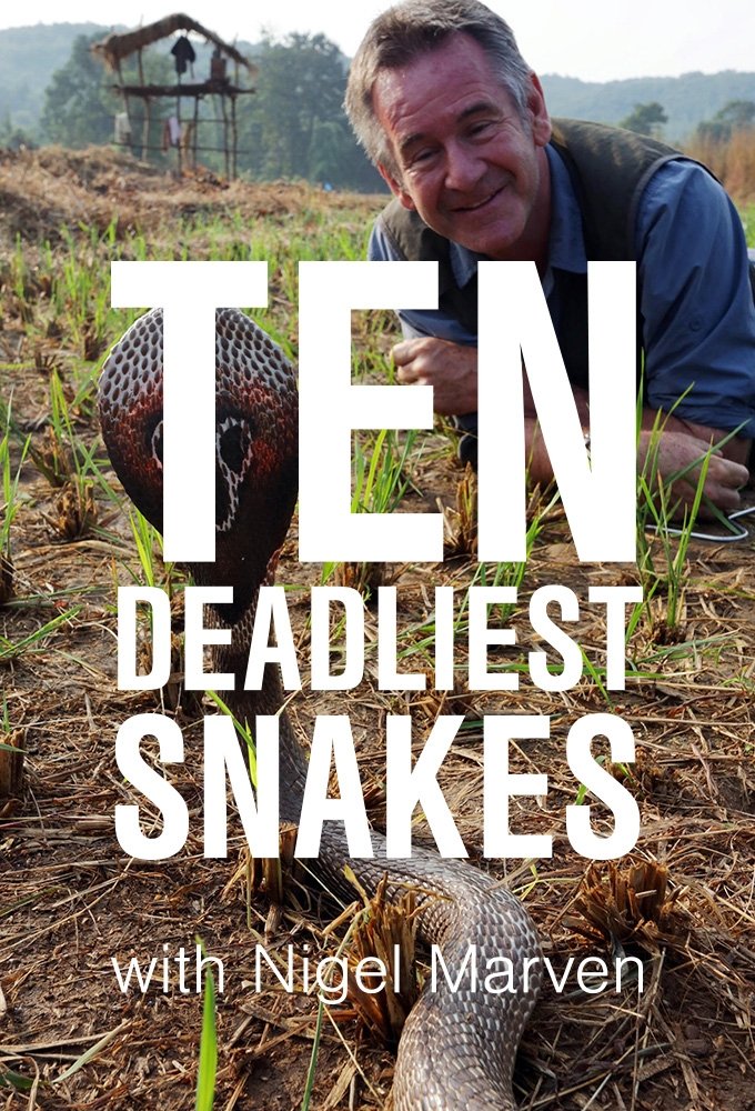 Poster de Ten Deadliest Snakes with Nigel Marven