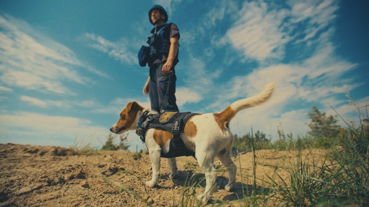 Backdrop image