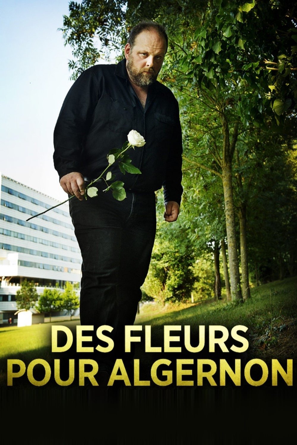 Poster de Des fleurs pour Algernon