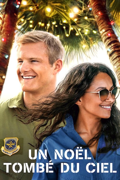 Affiche du film Un Noël tombé du ciel