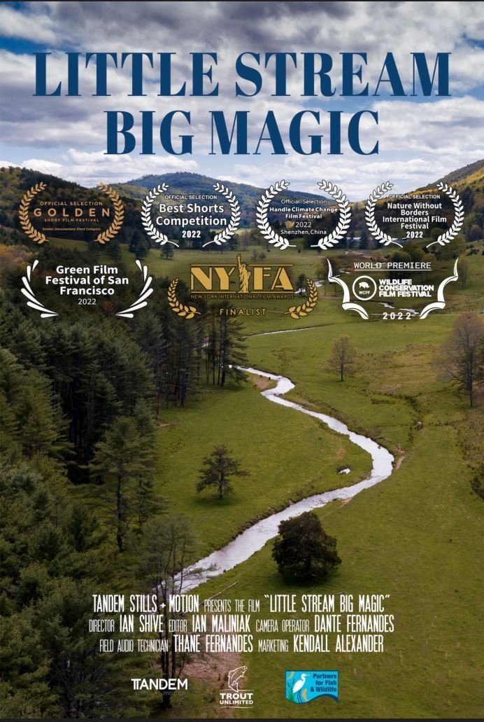 Poster de Little Stream, Big Magic