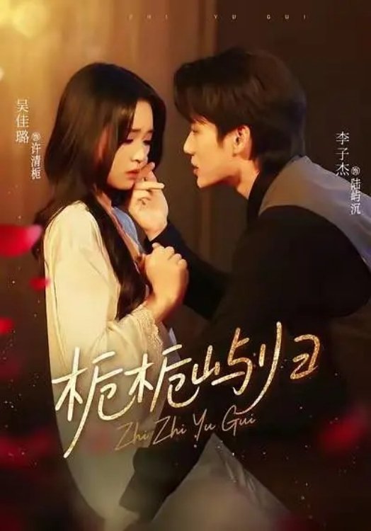Poster de 栀栀屿归