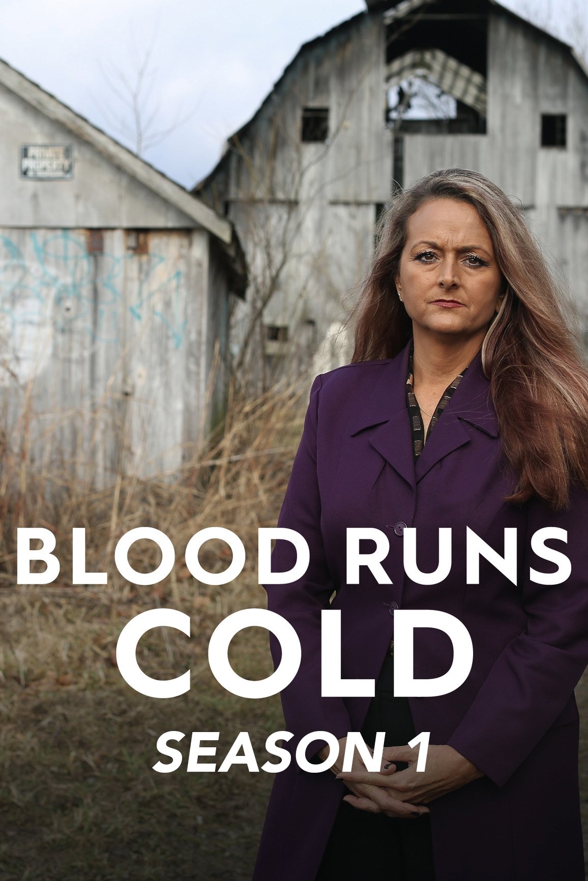 Poster de Temporada 1