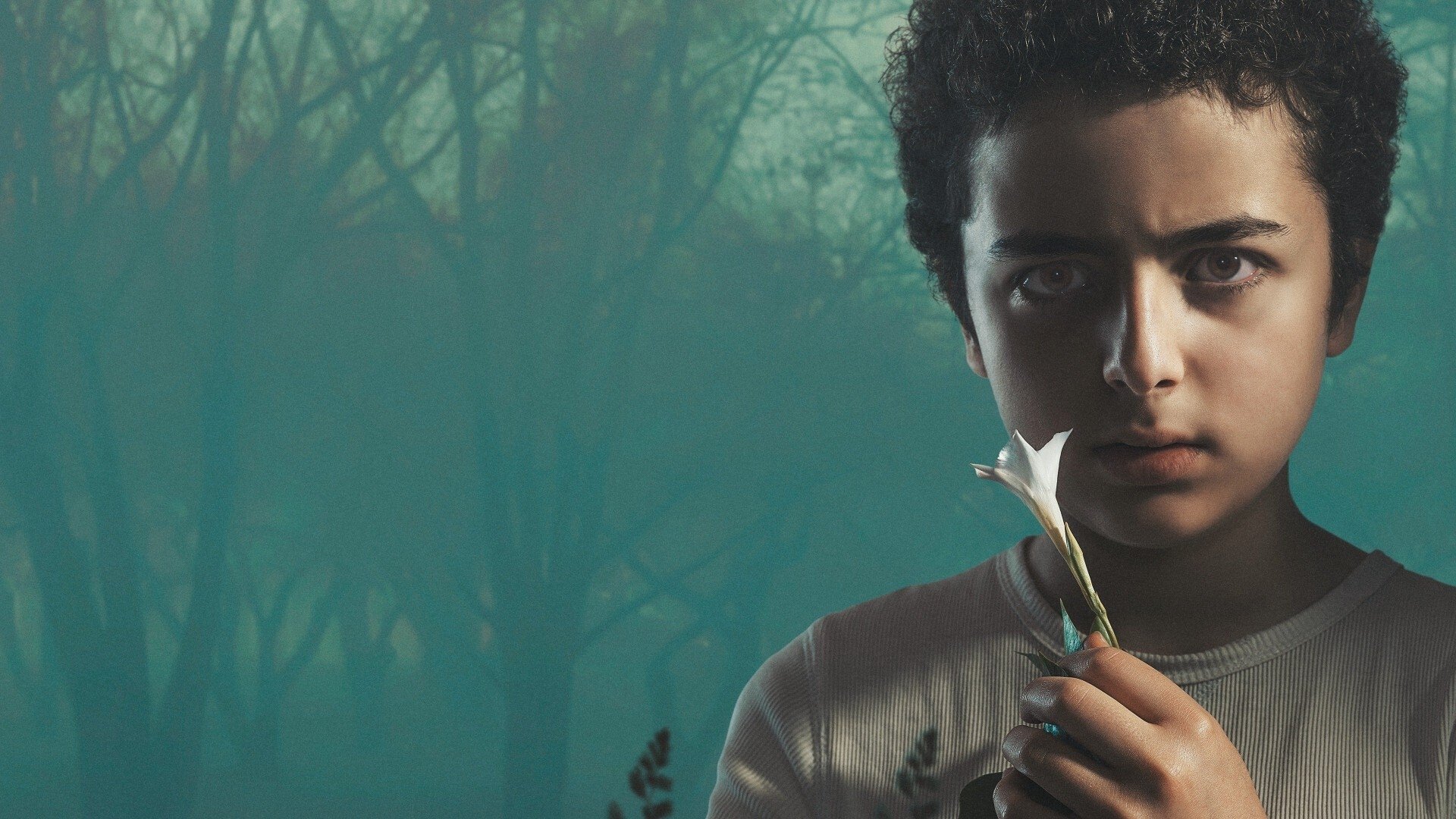 Backdrop image