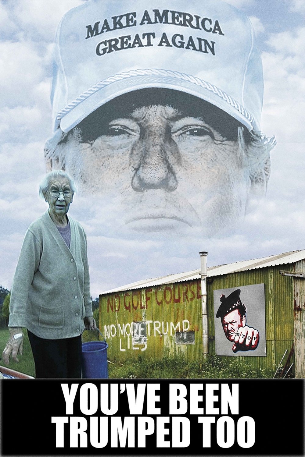 Poster de You've Been Trumped Too