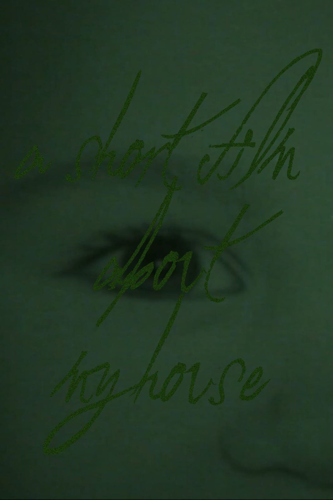Poster de A Short Film About My House