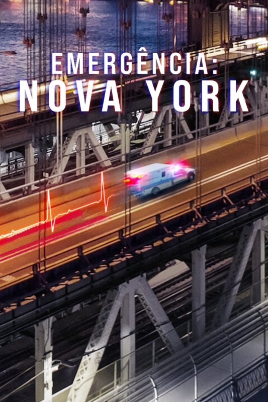 Poster de Emergência: Nova York