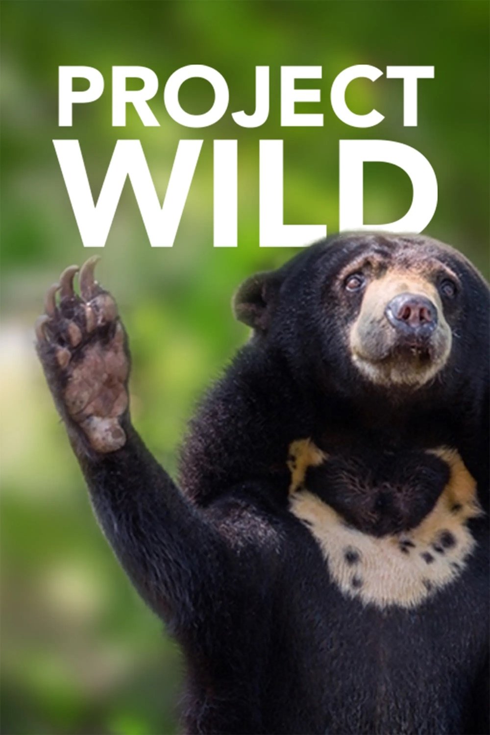 Poster de Project Wild