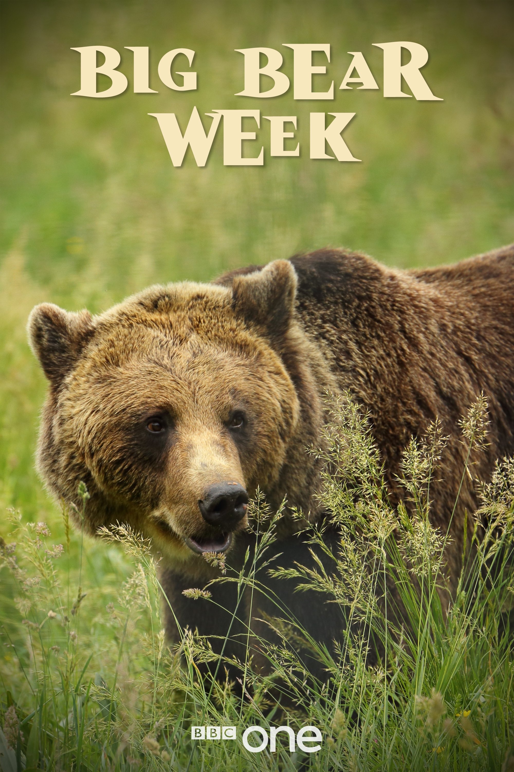 Poster de Big Bear Week
