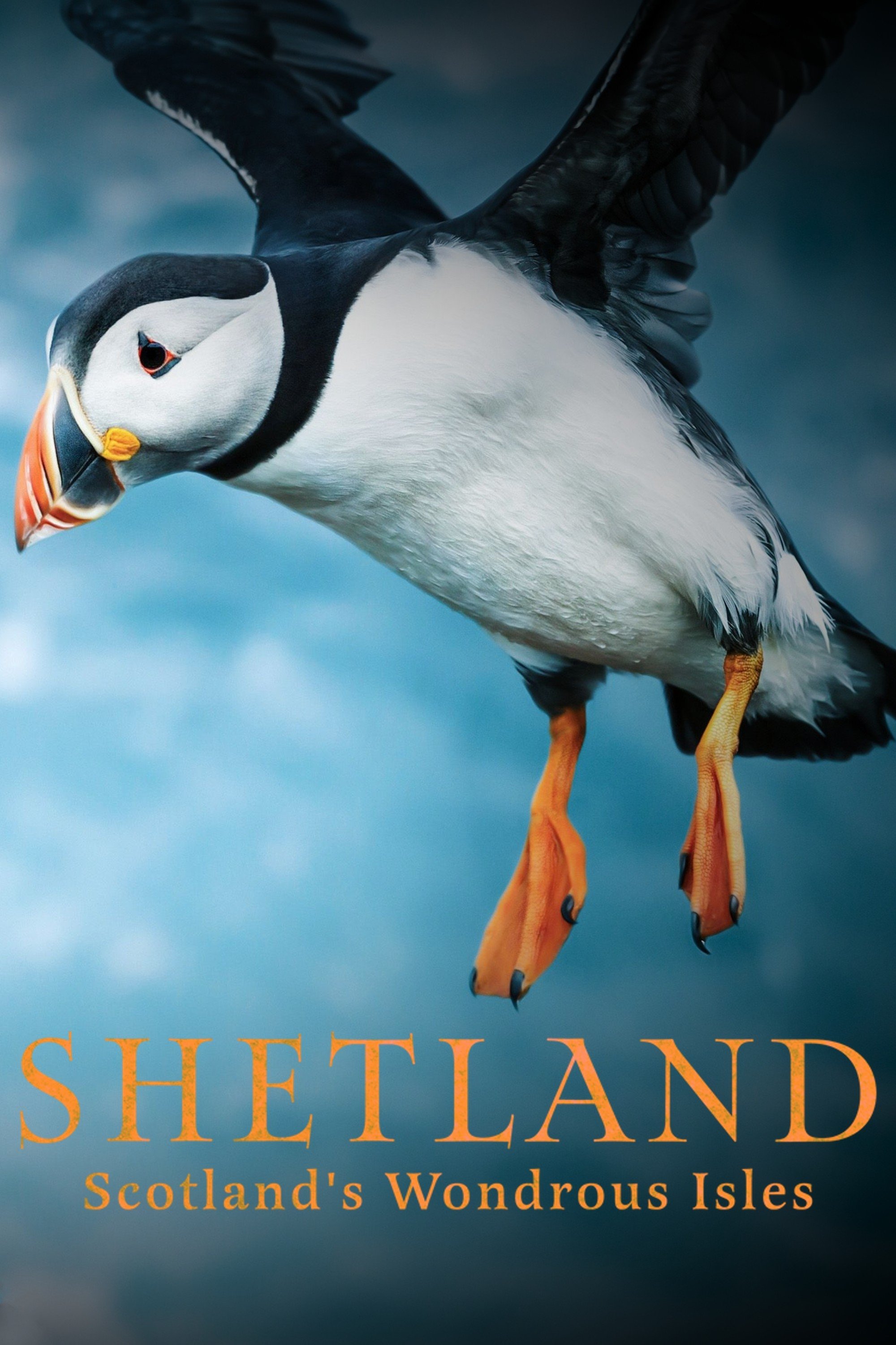 Poster de Shetland: Scotland's Wondrous Isles