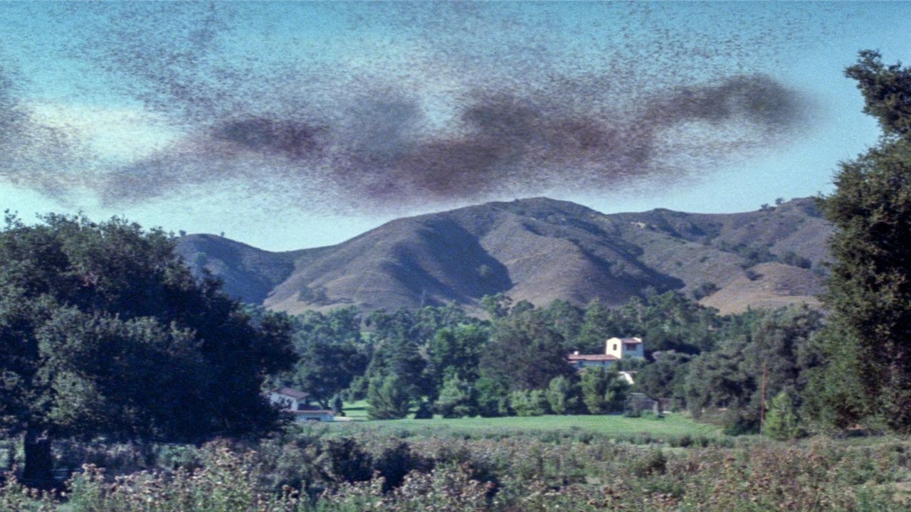 backdrops