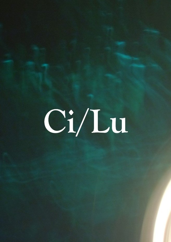 Poster de CI/LU