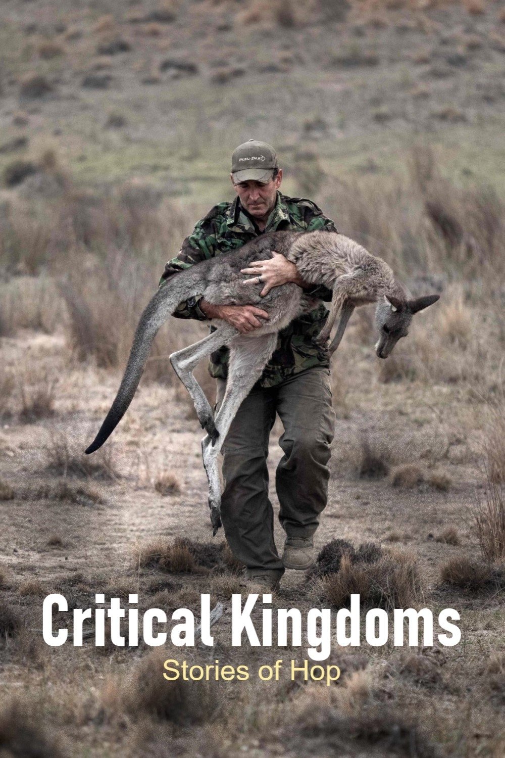 Poster de Critical Kingdoms - Stories of Hope