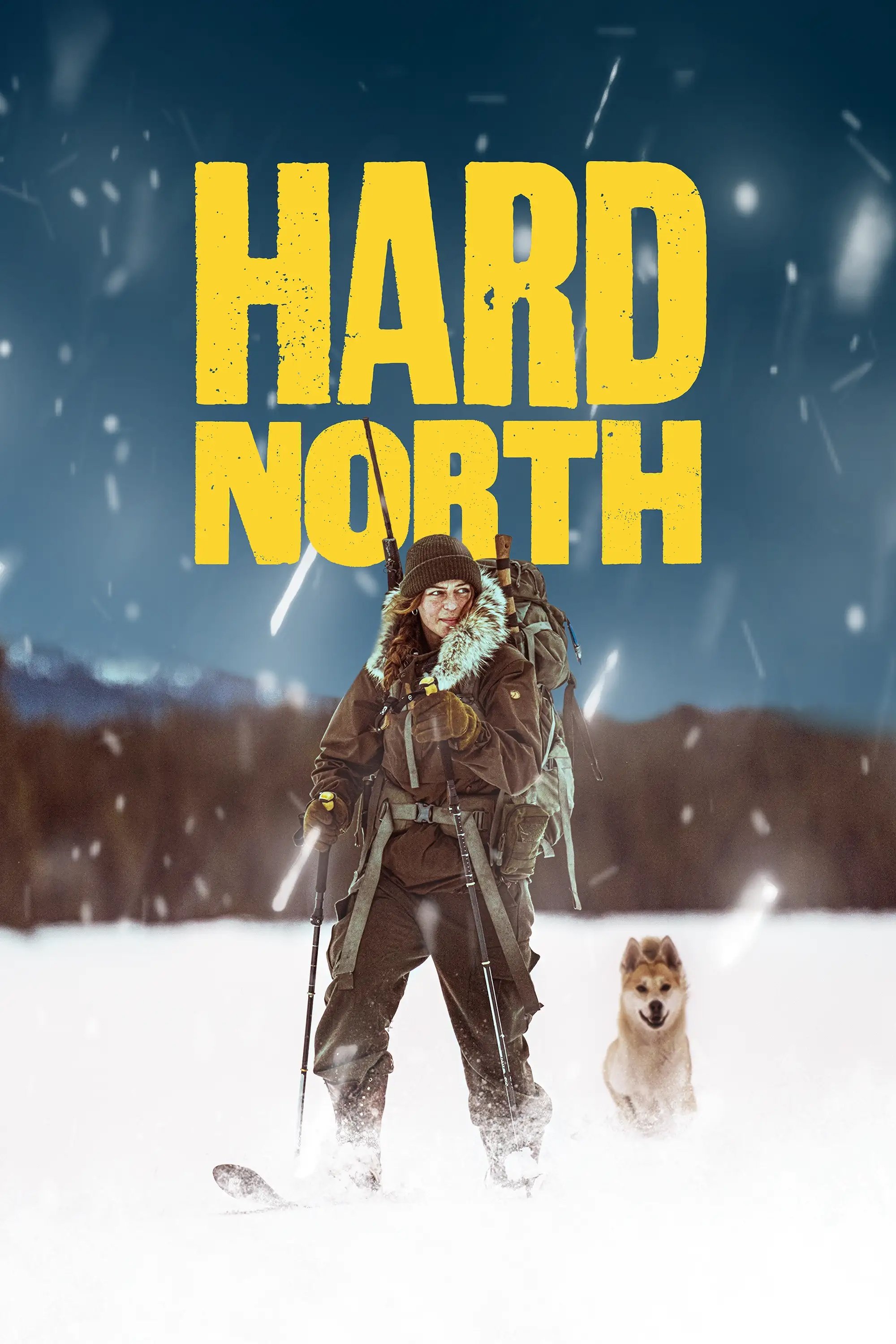 Poster de Hard North
