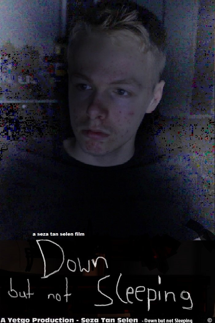 Poster de Down but not Sleeping