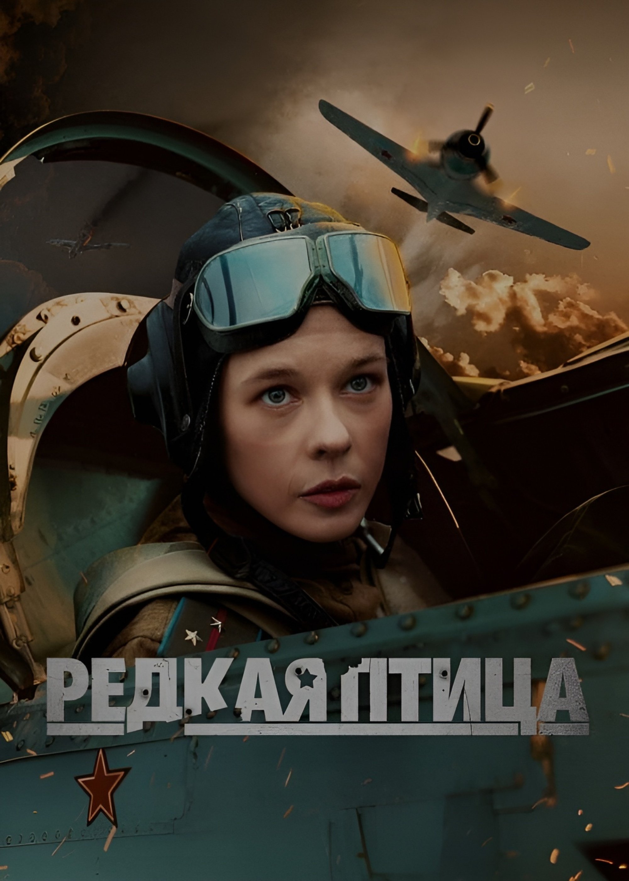 Poster de Редкая птица