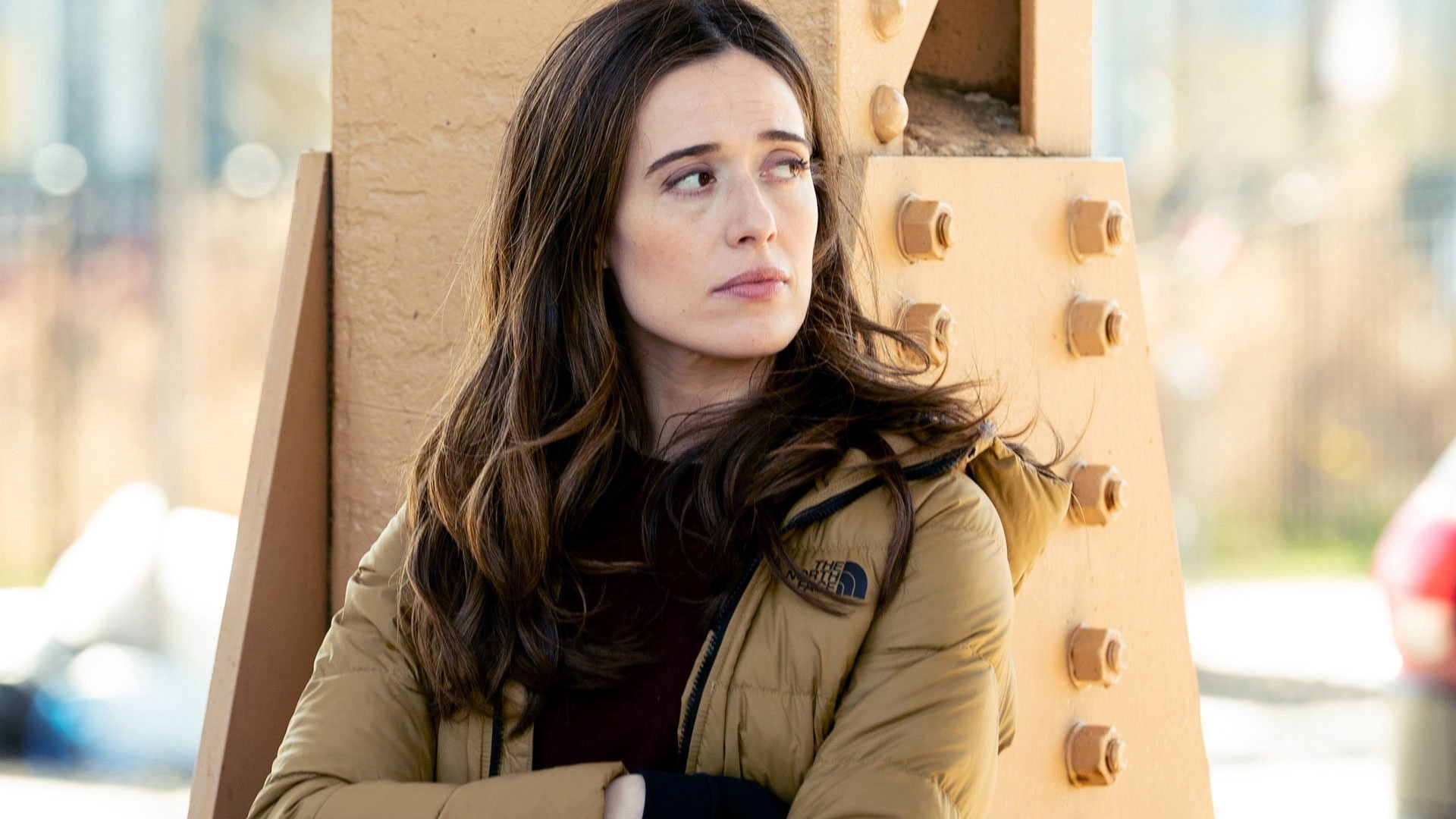 Policías de Chicago 8×13