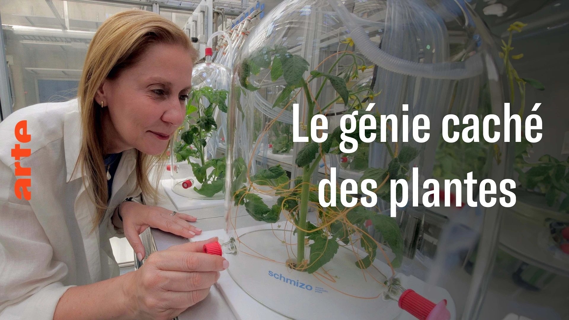 The amazing abilities of plants