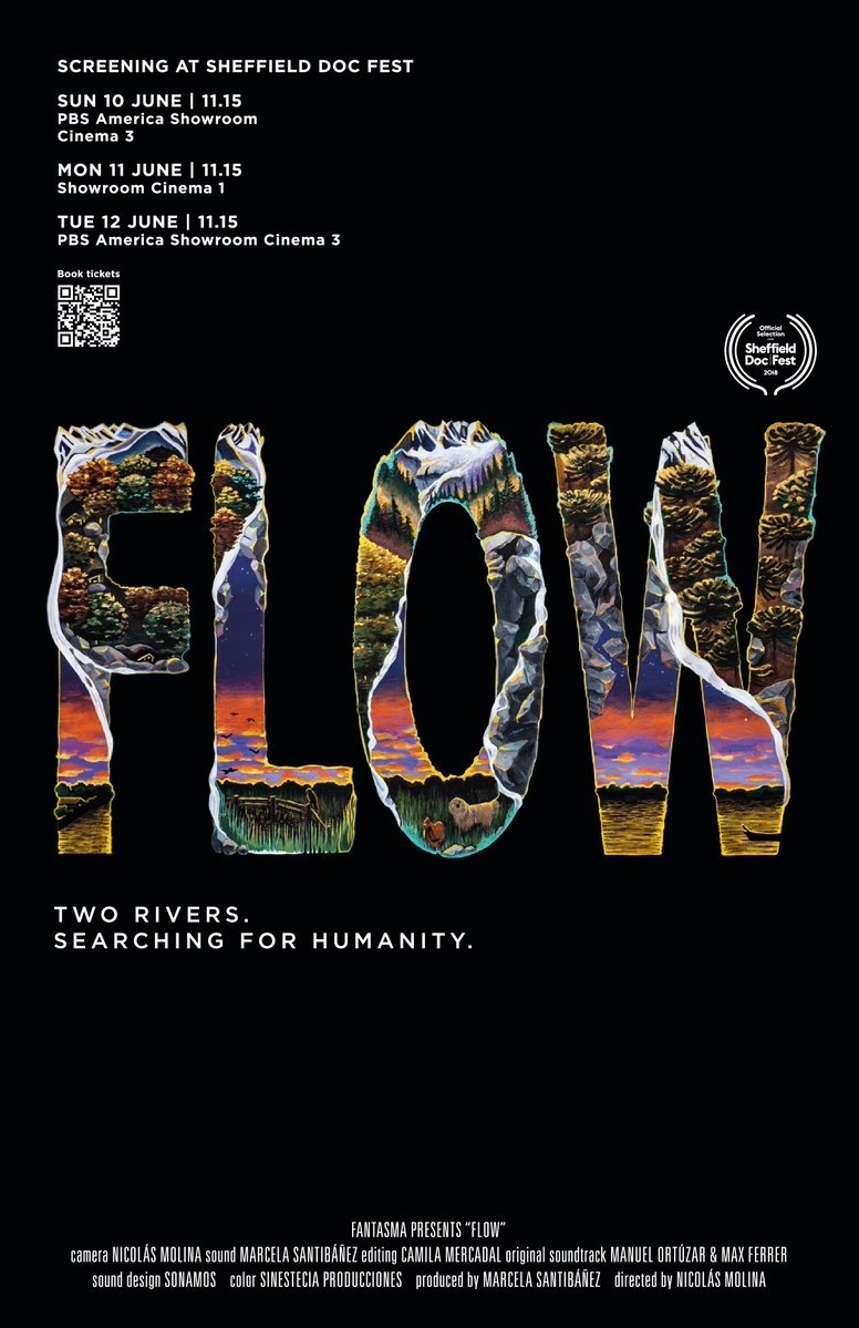 Poster de Flow