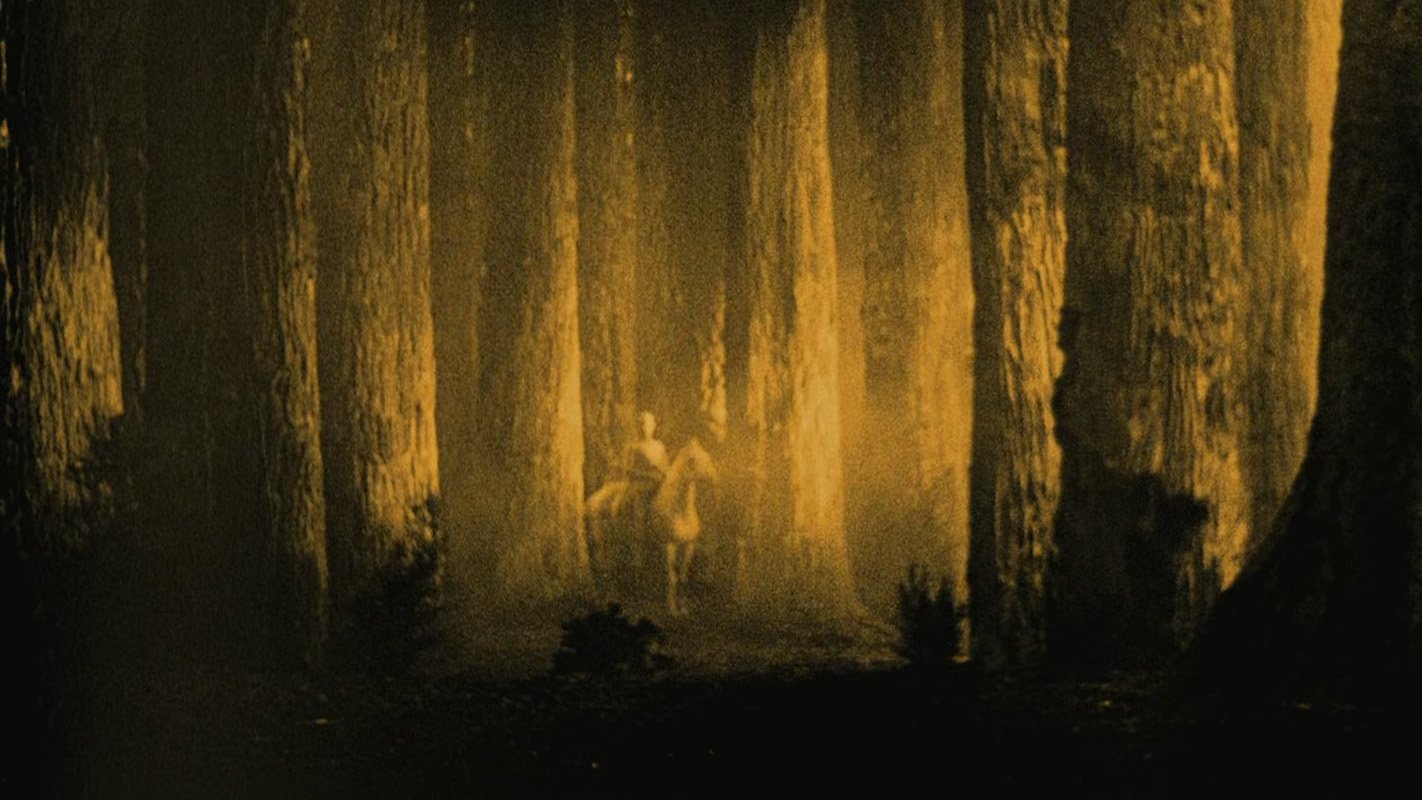 Backdrop image