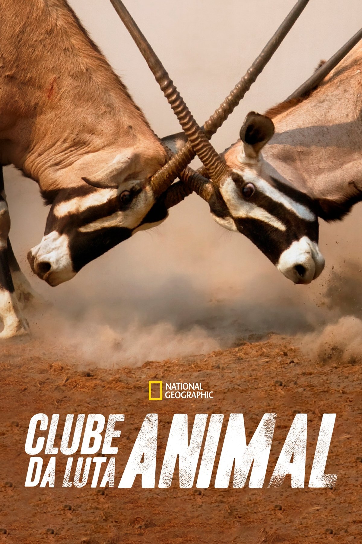 Poster de Temporada 4