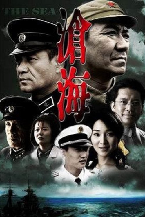 Poster de 沧海