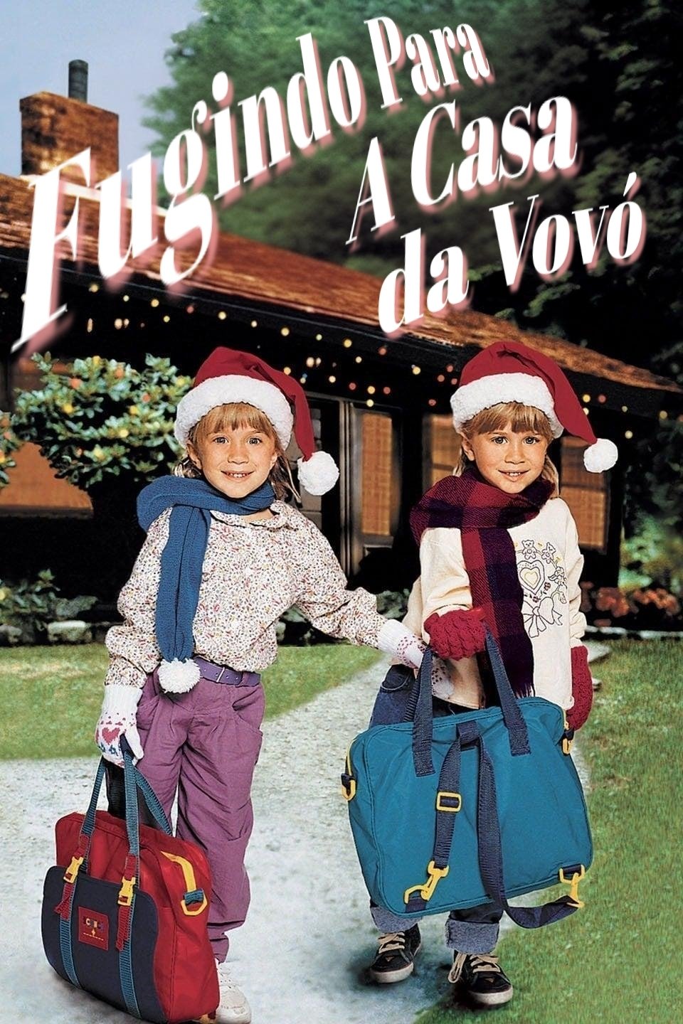 Poster de Fugindo para a Casa da Vovó